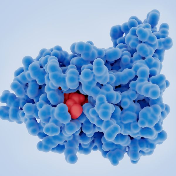 Enzymen kopen morgen is nu