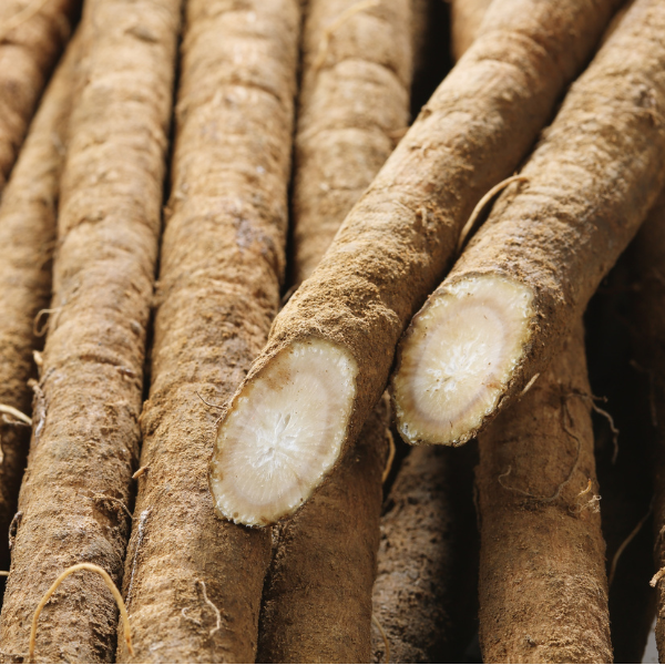 Eleuthero root - Siberische Ginseng bij  Morgen is Nu