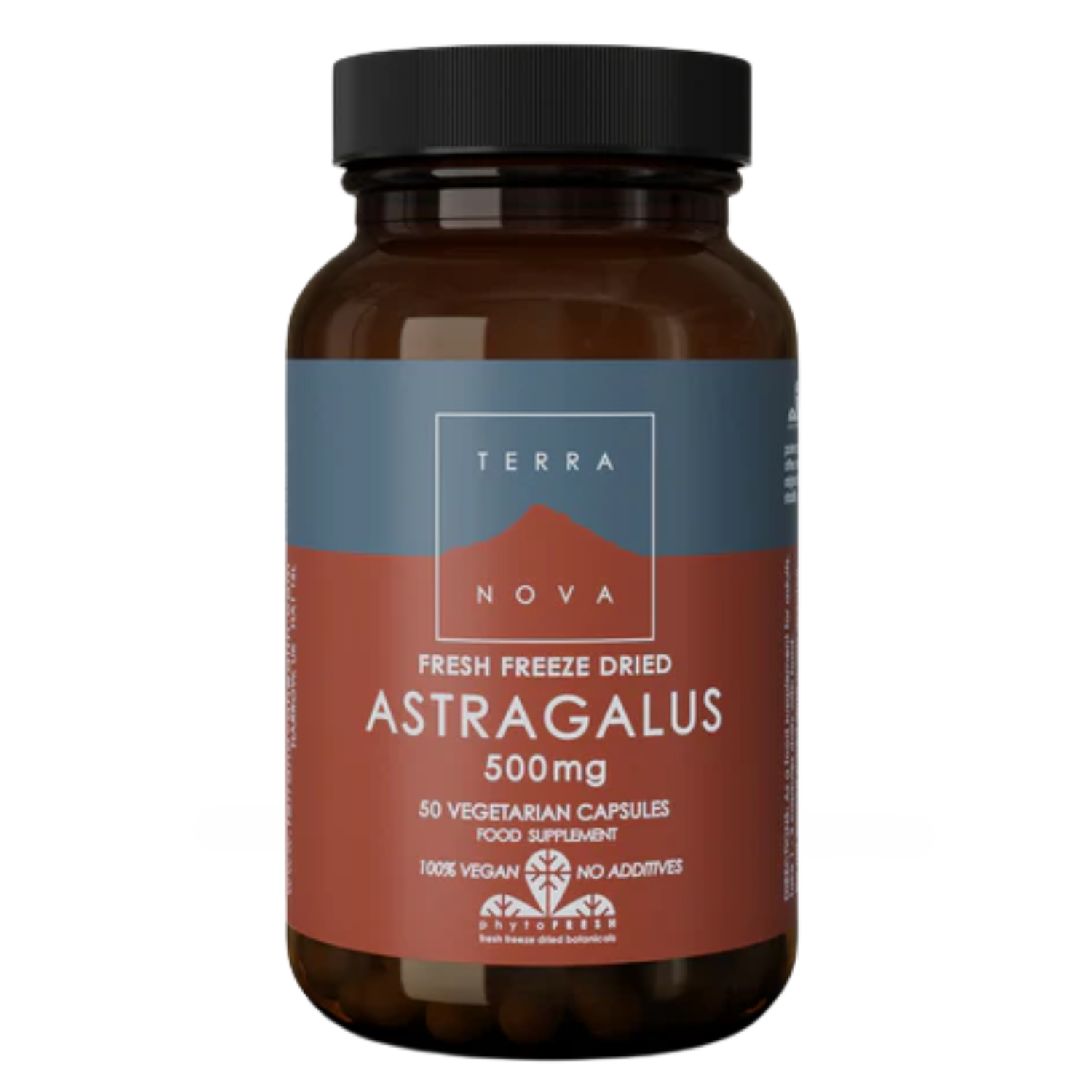 Astragalus 500mg