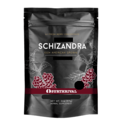 Schizandra poeder - Surthrival