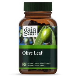 Olive Leaf - Gaia Herbs - Morgen is Nu