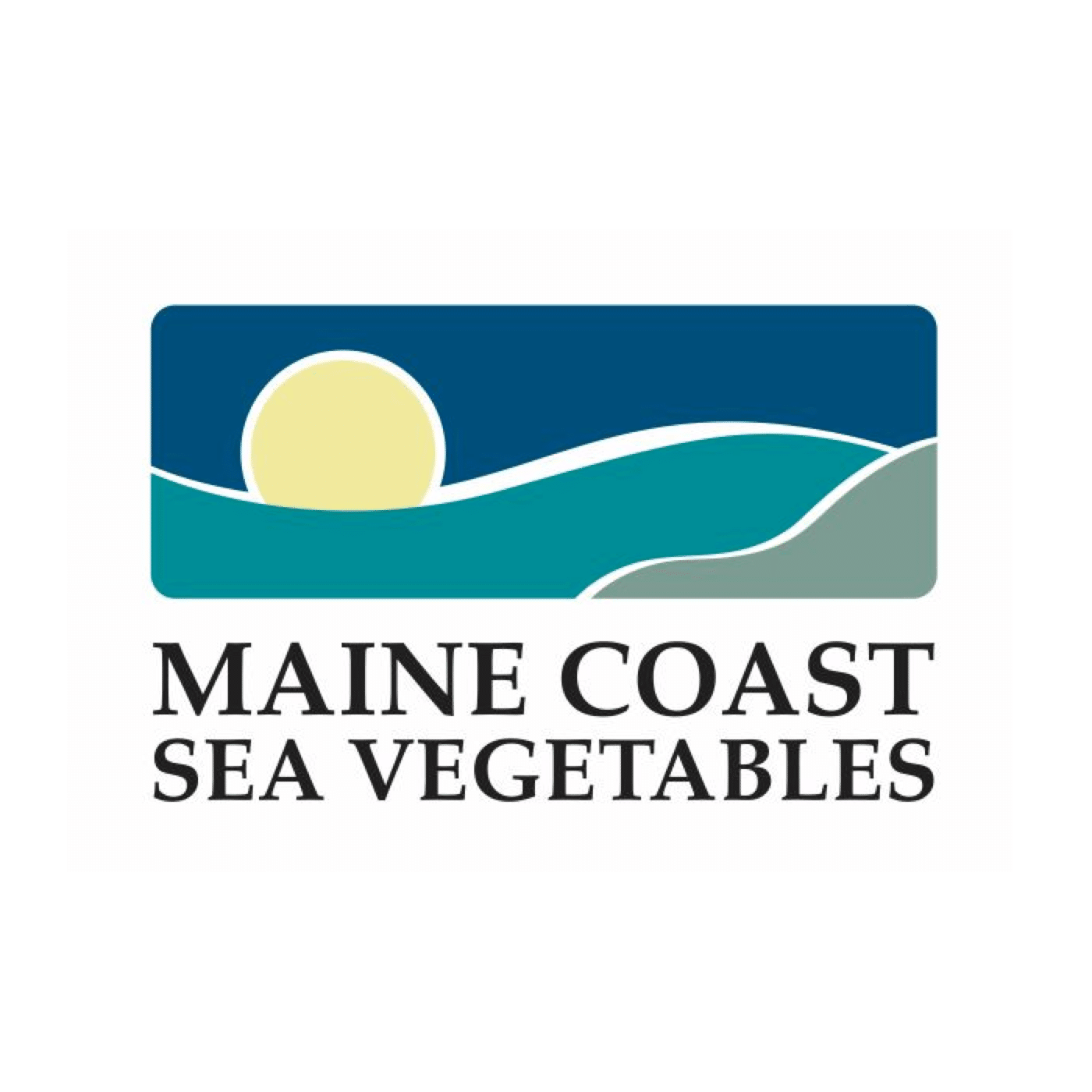Main Coast Sea Vegetables Logo